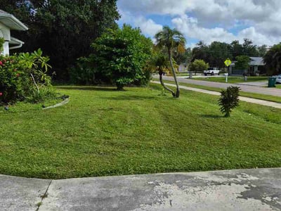 Lawn Care service in East Elmhurst, 11369