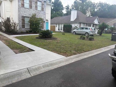 Lawn Care service in Mount Pleasant, 29464