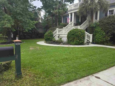 Lawn Care service in Mount Pleasant, 29464