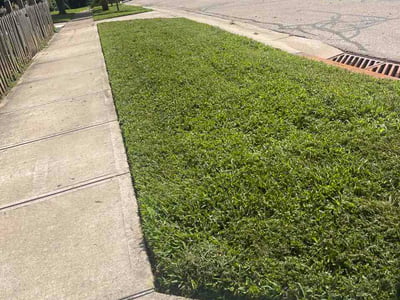 Lawn Care service in Sicklerville, 08081