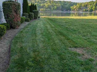 Lawn Care service in Harriman, 37748