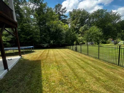 Lawn Care service in Clover, 29710