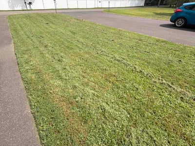 Lawn Care service in Gloucester City, 08030