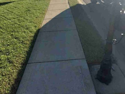 Lawn Care service in Bay Shore, 11706