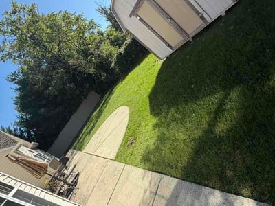 Lawn Care service in Berlin, 08009