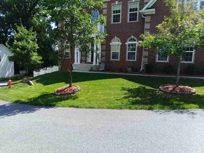 Lawn Care service in Ellicott City, 21043