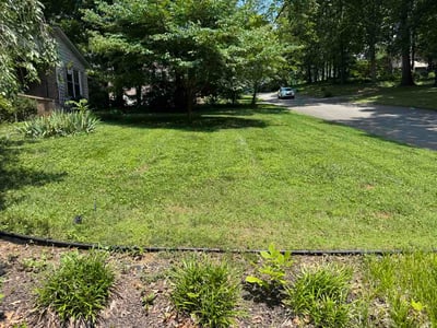 Lawn Care service in La Follette, 37766