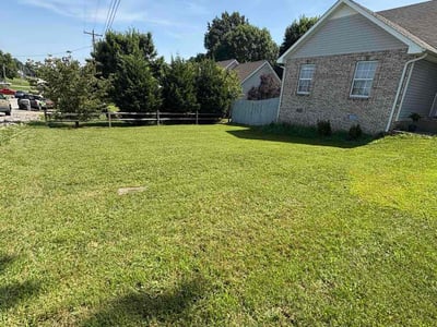 Lawn Care service in Long Beach, 11561