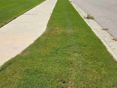 Lawn Care service in Harker Heights, 76548