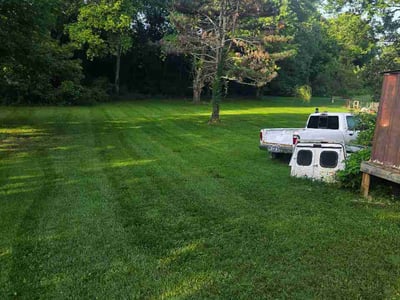 Lawn Care service in Powell, 37849