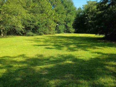 Lawn Care service in Macon, 31201