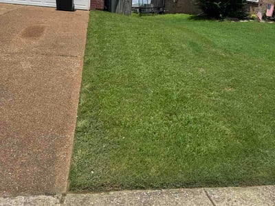 Lawn Care service in Bartlett, 38134
