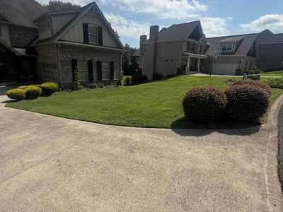 Lawn Care service in Corryton, 37721