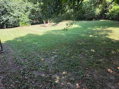 Lawn Care service in Rossville, 38066