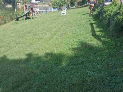 Lawn Care service in Rogersville, 37857