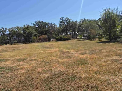Leaf Removal service in Frisco, 75033