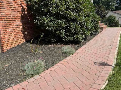 Leaf Removal service in Edison, 8817