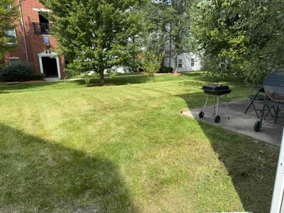 Lawn Care service in ,