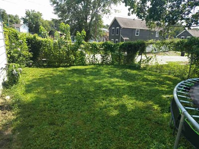 Lawn Care service in West Lafayette, 47906