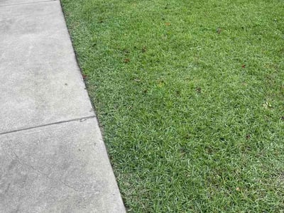 Lawn Care service in Longs, 29568