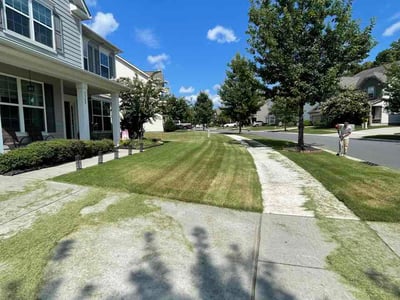 Lawn Care service in Fort Mill, 29715