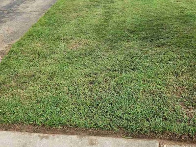 Lawn Care service in Suitland, 20746