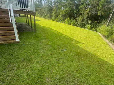 Lawn Care service in Longs, 29568