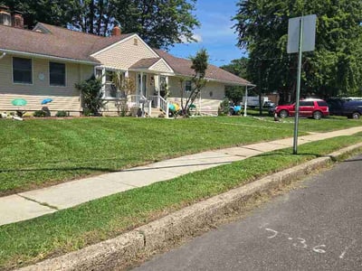 Lawn Care service in Cherry Hill, 08002