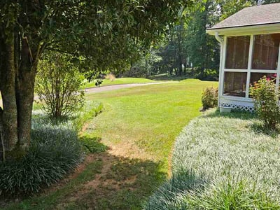 Lawn Care service in Taylors, 29687