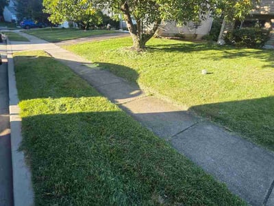 Lawn Care service in Pikesville, 21208