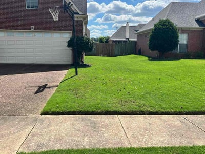 Lawn Care service in Arlington, 38002