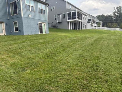 Lawn Care service in Pikesville, 21208