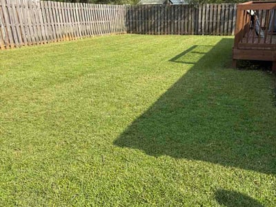 Lawn Care service in ,