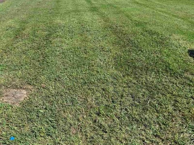 Lawn Care service in Loudon, 37774