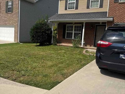 Lawn Care service in Loudon, 37774