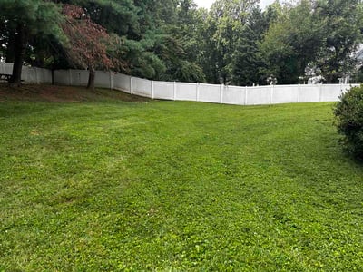 Lawn Care service in Owings Mills, 21117