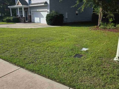 Lawn Care service in Blythewood, 29016
