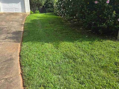 Lawn Care service in Lenoir, 28645