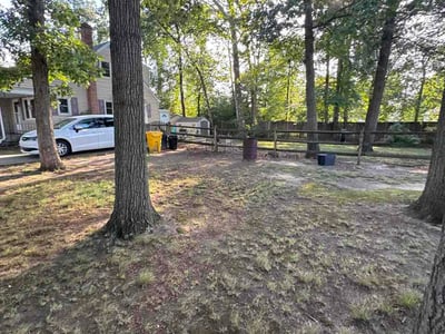 Leaf Removal service in Ellicott City, 21043