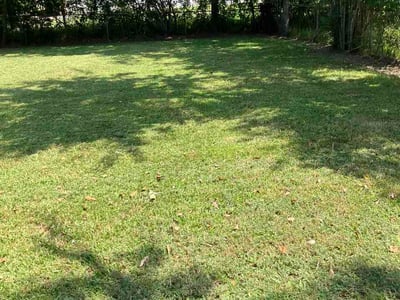 Lawn Care service in Moss Point, 39563