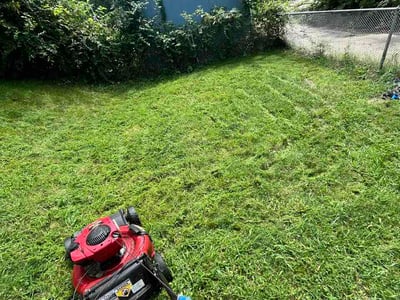 Lawn Care service in Havre De Grace, 21078