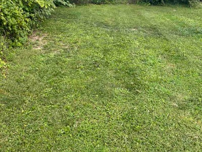 Lawn Care service in Havre De Grace, 21078