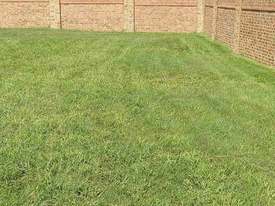 Lawn Care service in Copperas Cove, 76522