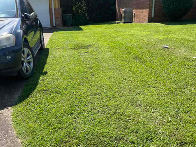 Lawn Care service in Dunlap, 37327