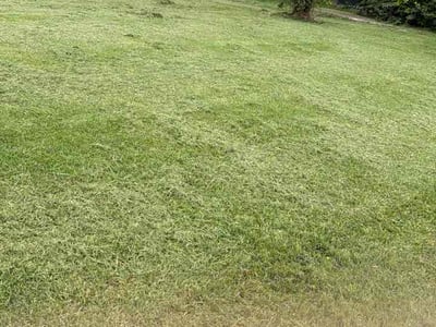 Lawn Care service in Chattanooga, 37402