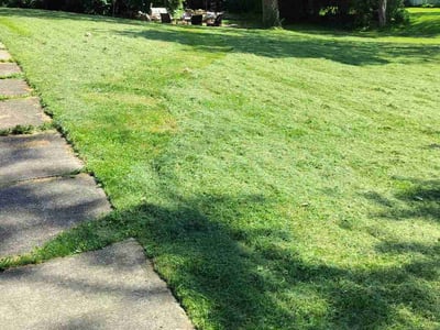 Lawn Care service in Bedford, 01730