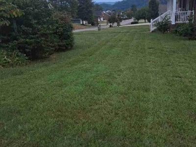 Lawn Care service in Bristol, 37620