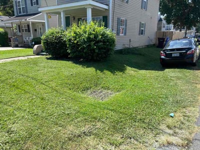 Lawn Care service in Bristol, 37620