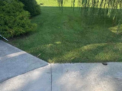Lawn Care service in Bristol, 37620