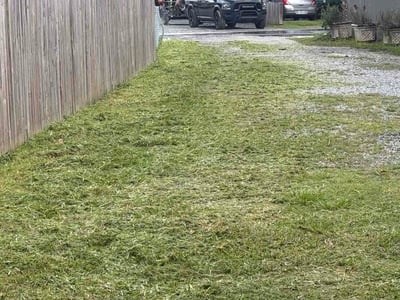 Lawn Care service in ,